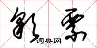 朱锡荣彩票草书怎么写
