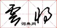 朱锡荣云将草书怎么写