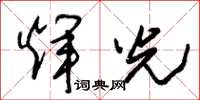 朱锡荣辉光草书怎么写