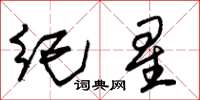 朱锡荣纪星草书怎么写