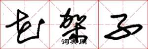 朱锡荣花架子草书怎么写