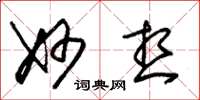 朱锡荣妙想草书怎么写