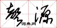 朱锡荣声源草书怎么写