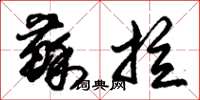 朱锡荣苏拉草书怎么写