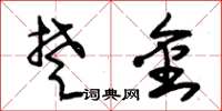 朱锡荣楚金草书怎么写