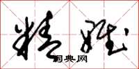 朱锡荣精雅草书怎么写