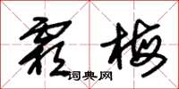朱锡荣霜梅草书怎么写
