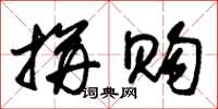 朱锡荣拼购草书怎么写