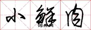 朱锡荣小鲜肉草书怎么写
