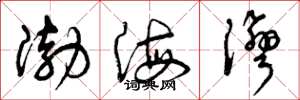 曾庆福渤海湾草书怎么写