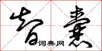 曾庆福智囊草书怎么写