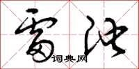曾庆福雷池草书怎么写