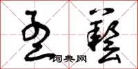 曾庆福孟艺草书怎么写