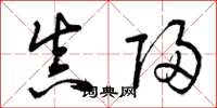 曾庆福真归草书怎么写