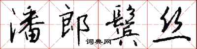 钱沛云潘郎鬓丝行书怎么写