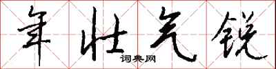 钱沛云年壮气锐行书怎么写
