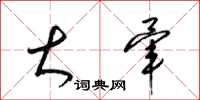 梁锦英大荤草书怎么写