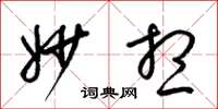 梁锦英妙想草书怎么写