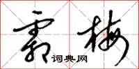 梁锦英霜梅草书怎么写