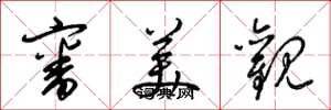 梁锦英审美观草书怎么写
