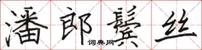 骆恒光潘郎鬓丝楷书怎么写