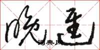 骆恒光晚进草书怎么写