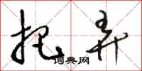 骆恒光把弄草书怎么写