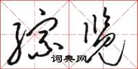 骆恒光综览草书怎么写