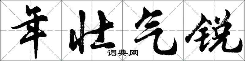胡问遂年壮气锐行书怎么写