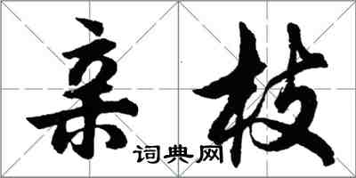 胡问遂亲枝行书怎么写