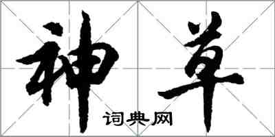 胡问遂神草行书怎么写