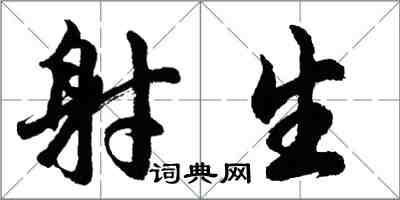 胡问遂射生行书怎么写