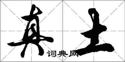 胡问遂真土行书怎么写