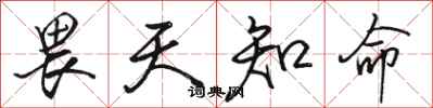 骆恒光畏天知命行书怎么写