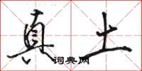骆恒光真土行书怎么写