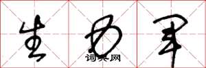 王冬龄生力军草书怎么写