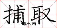 庞中华捕取楷书怎么写