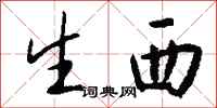 钱沛云生西行书怎么写