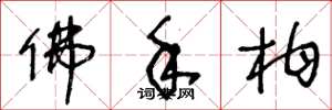 王冬龄佛手柑草书怎么写