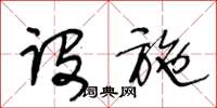 王冬龄设施草书怎么写