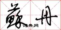 王冬龄苏丹草书怎么写