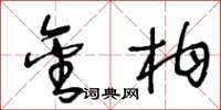 王冬龄金柑草书怎么写