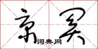 王冬龄京关草书怎么写