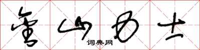 王冬龄金山力士草书怎么写