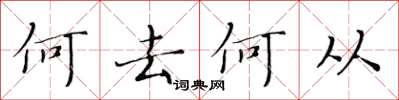 黄华生何去何从楷书怎么写
