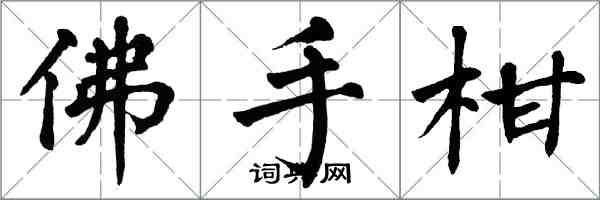 翁闿运佛手柑楷书怎么写
