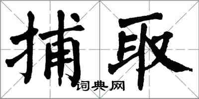 翁闿运捕取楷书怎么写
