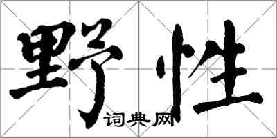翁闿运野性楷书怎么写