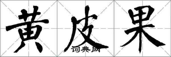 翁闿运黄皮果楷书怎么写