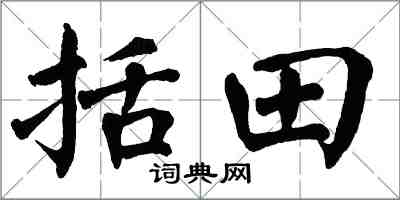 翁闿运括田楷书怎么写